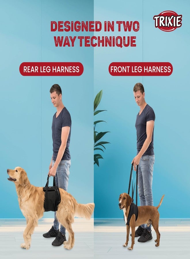 تريكسي: سرج مساعد للكلاب لرفع الأثقال | مصنوع من البوليستر المتين، لتخفيف الضغط وتثبيت الكلب | يمكن استخدامه أيضًا كأداة مساعدة على المشي | يتحمل وزنًا يصل إلى 25 كجم - مقاس كبير جدًا: 75 × 90 سم، أسود - Image 5